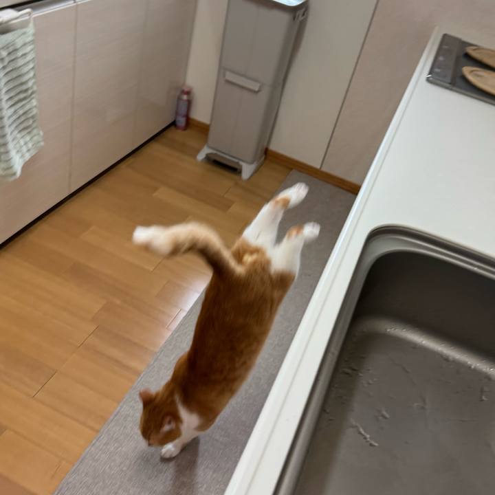 166ac93c c580 4fb1 a471 2cb9c92eeeb1 1759541302373