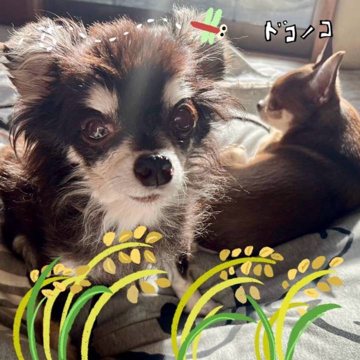 166b36ee 4c54 46ea bc74 7bee7b1c4d91 1761188153523