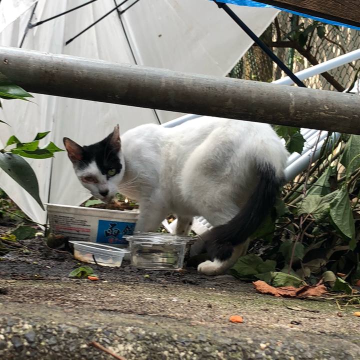 166b3f72 71e7 4b6e bc16 93c1ae548380 1563437388458