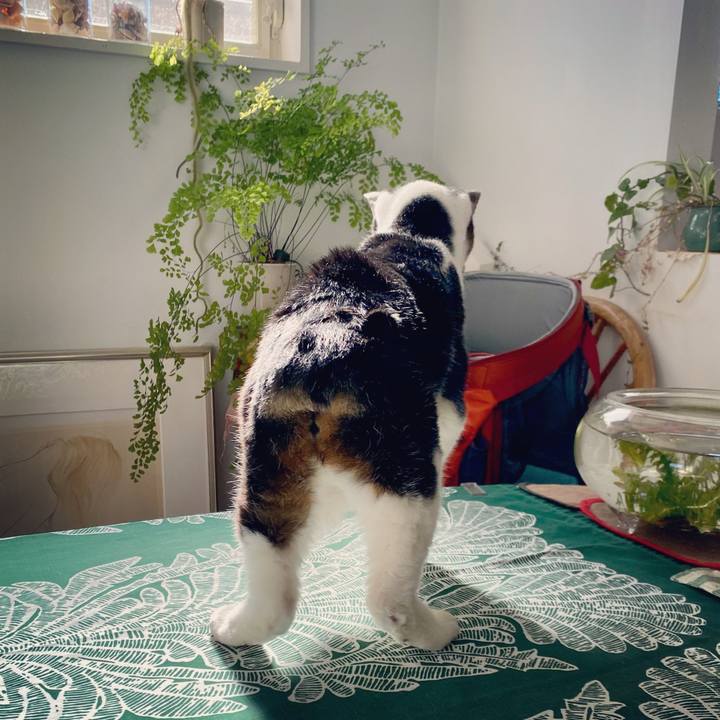 166b41df 5c36 4df4 a87b f43a9c0849f5 1607400480257