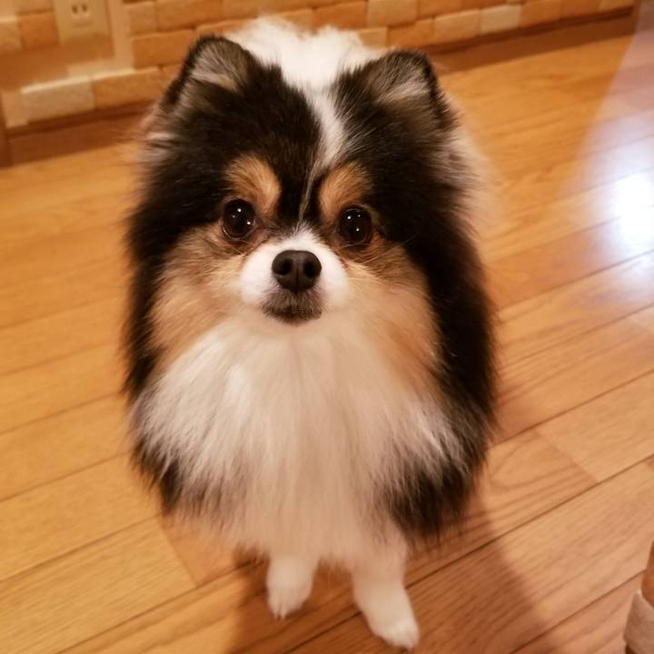 166b5456 9731 424f 86ed ed7ee27a7131 1529062042078