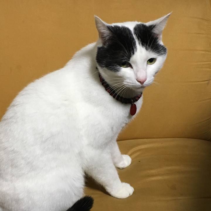 166b68ba f46f 47ef bf76 eda69fa79c3b 1512432510431