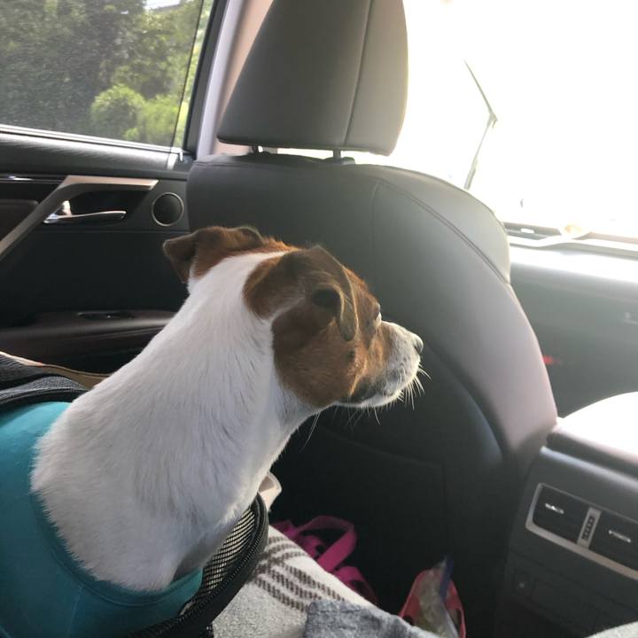 166b8a2a 3210 4591 b1e5 d42ea087289b 1597213366567