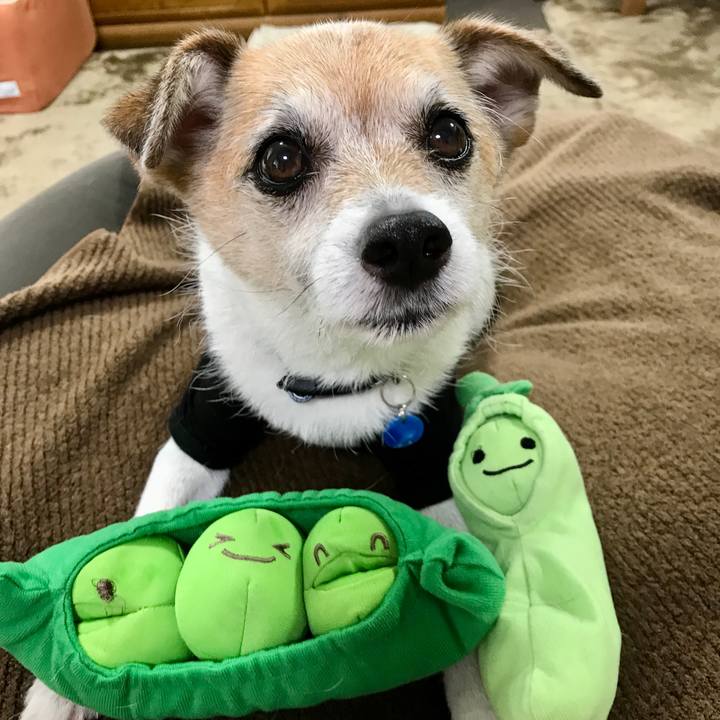 166ba78e 24a4 4db4 a656 279b41bdcde7 1654817460011