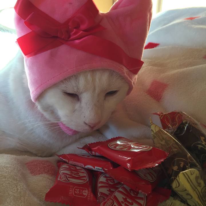 166bbb15 0988 45ac b1c3 69f1989c7401 1518562625151