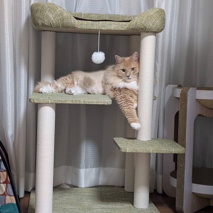 166bd7c0 1cb9 4094 bfb3 230030985173 1754235136745