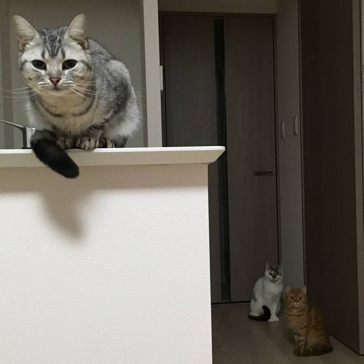 166bf9f7 2c89 4c02 8796 e11d8875f15f 1518360885429