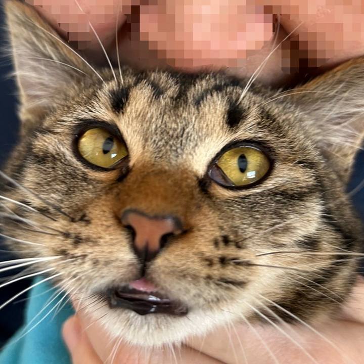 166bfae4 245c 469c 80ca 23565d88ffed 1737770664849