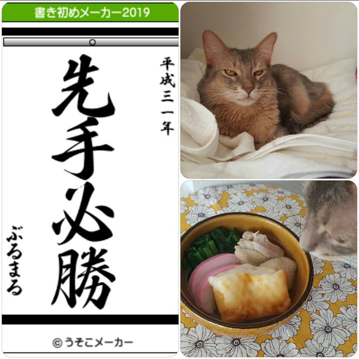 166c138f 322f 4a9e 8879 e054364533fb 1546507346123