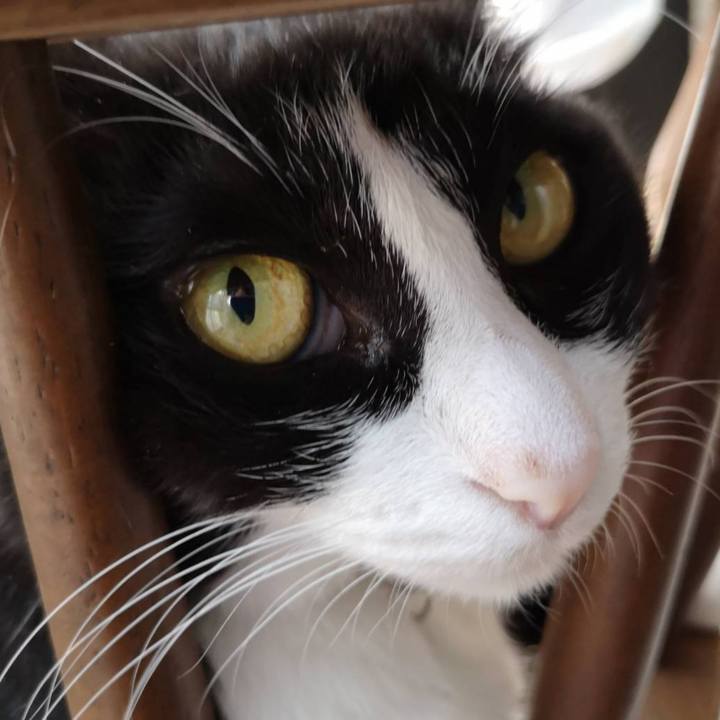 166c228d a32c 40b1 91a7 1e71e4091a1a 1627356042931