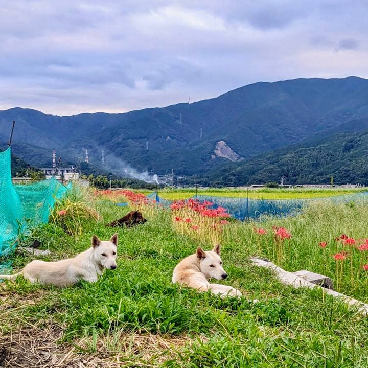 166c4caa 1cb8 49b5 92d1 6dafc7165b2c 1758527401447