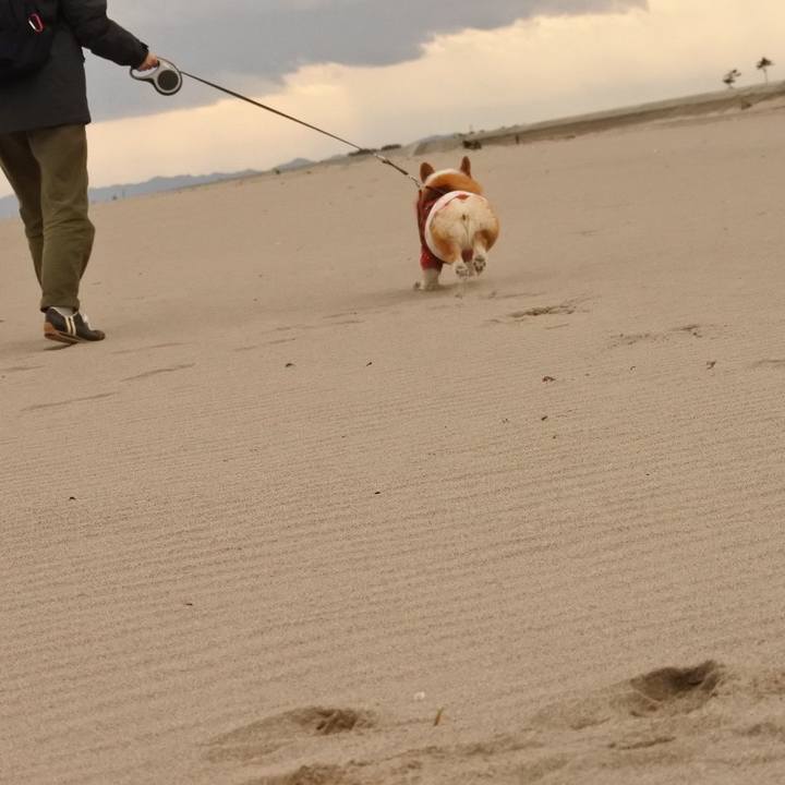 166c589d 1e2d 4213 8f7f 679ed4214780 1582602917616