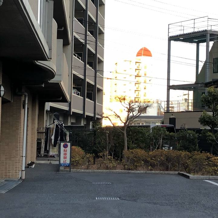 166c77c3 558d 4e3c 9b87 f057f1d22361 1609892957748