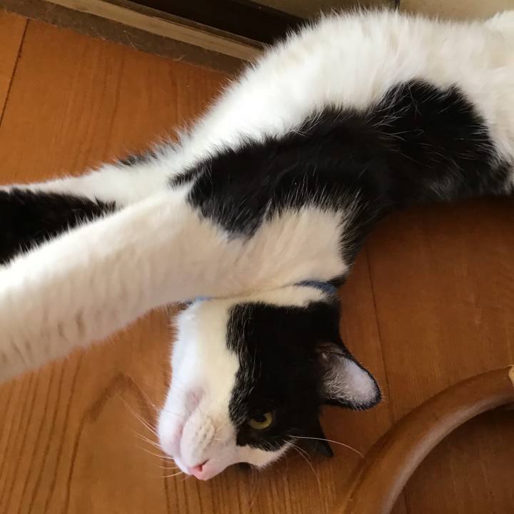 166c7965 e651 4b5b a820 4ff3dc53ef11 1754469541837