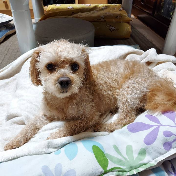 166c923d 7fb6 45fb a93f 097a947c0373 1657970661235