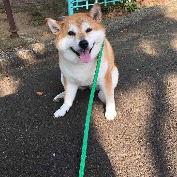 166d23e0 a2c5 49fa 9d4c 967aa0c52a06 1597532956295