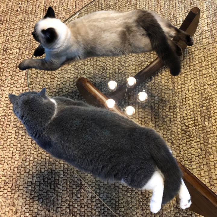 166d3d91 ea85 47b7 81bb 85a93c4c0257 1596589788761