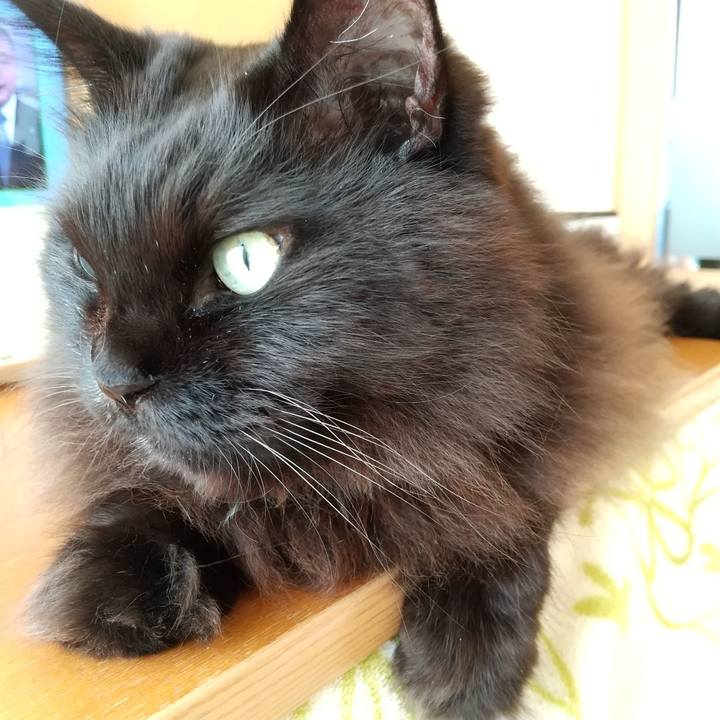 166d53d8 9e9c 4cee aa94 e964059a41c5 1608336489162