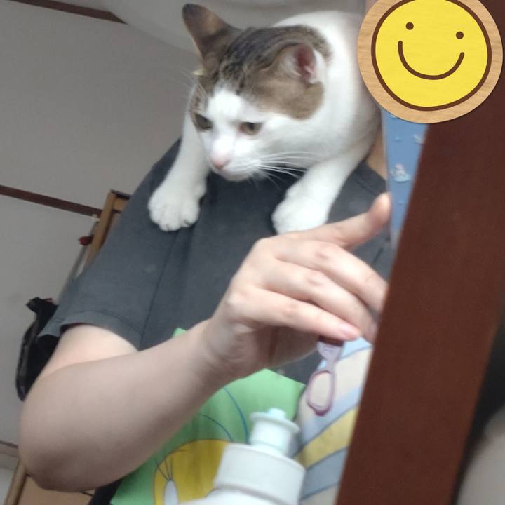 166d81f3 8f4f 4134 9a31 6b07468522c6 1694934767449