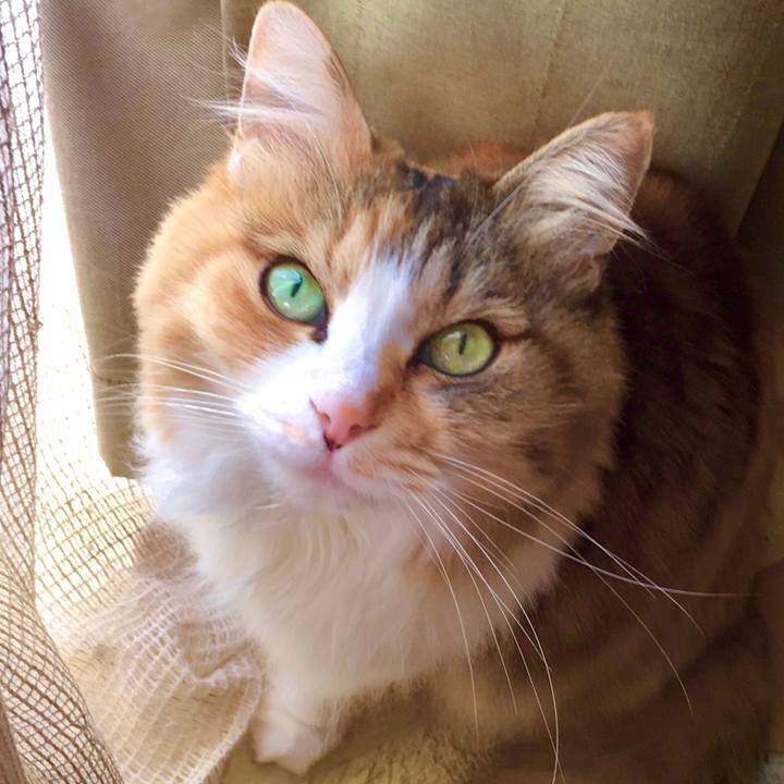 166d88a7 2183 443e b674 233486773cc3 1585207344395