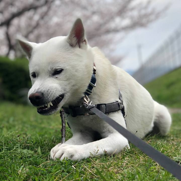 166df39a b0c1 448b afd7 b391d5ddf78a 1585658276408