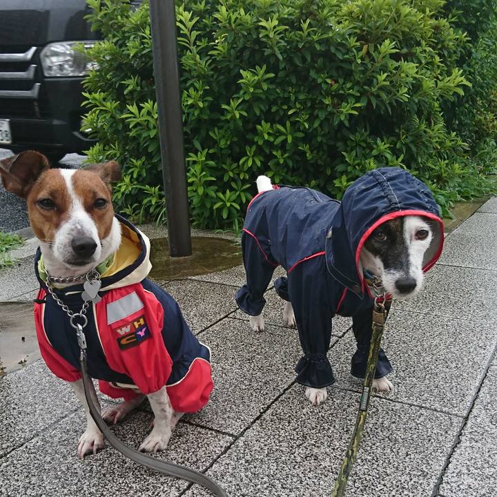 166df3ed 5e0e 479b 8cb3 06c171d81498 1562883692790