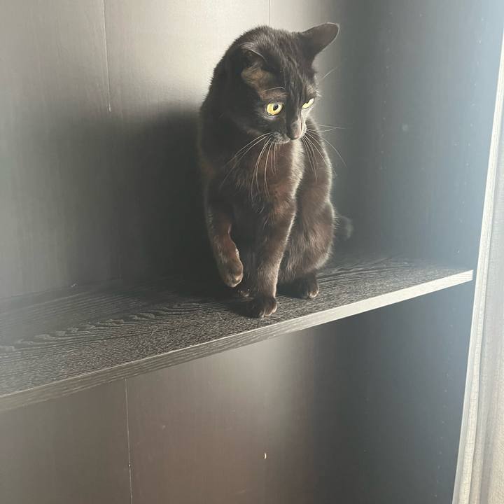 166df813 9a88 4e21 bec3 b013578ce951 1737791954040