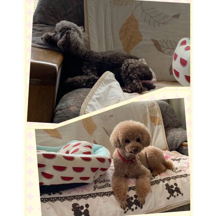 166e5b39 263c 41cd b7ca efa7b4b6e87d 1567232144011