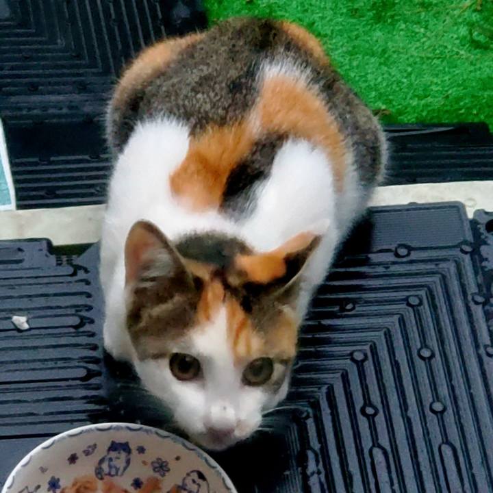 166e5b49 eb0b 41f1 9fb9 d5d0d41d9ee5 1695480130795