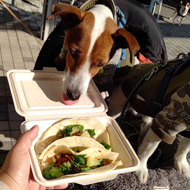 166e6ae7 5c86 4265 acc5 d5fe1af587be 1673178114120