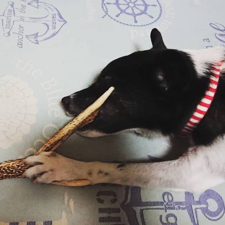 166e6c8f 794e 4430 a73e d586607fae09 1536668039946