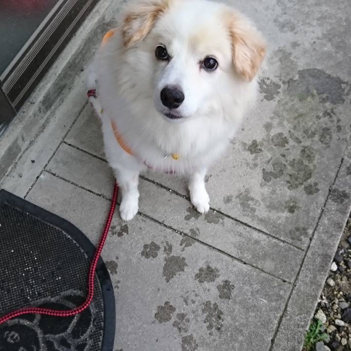 166e9fc9 01c5 4a62 86b2 6222c2155532 1536788508444