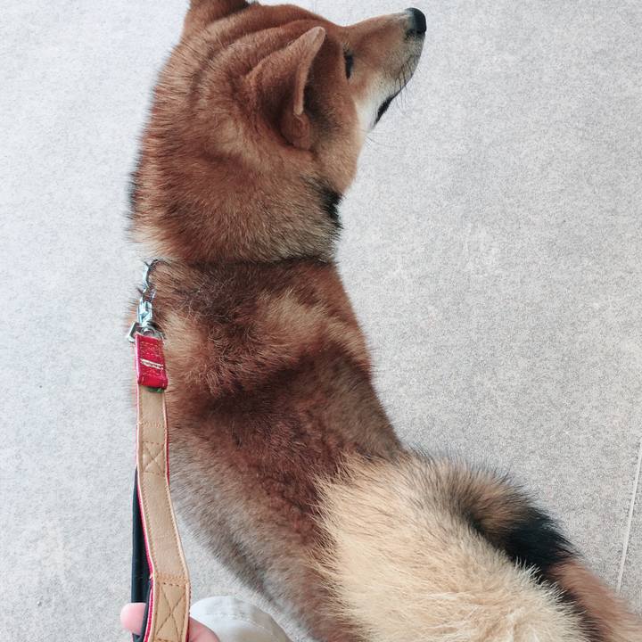 166ea094 5380 4d41 9e3c 4e9f5d7cfcd2 1522752825270