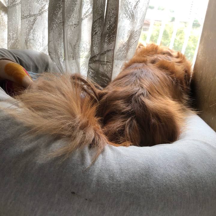 166eb009 a28e 4b33 937c 7da8330708f9 1570415524099