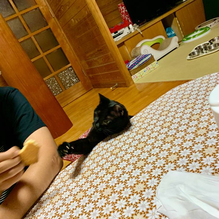 166ec1fb 5ec6 4119 afba e6e211c9b378 1598097547488