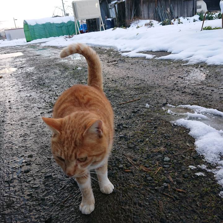 166f013d 1038 431a 85d6 91ee8aef9a93 1577517161591