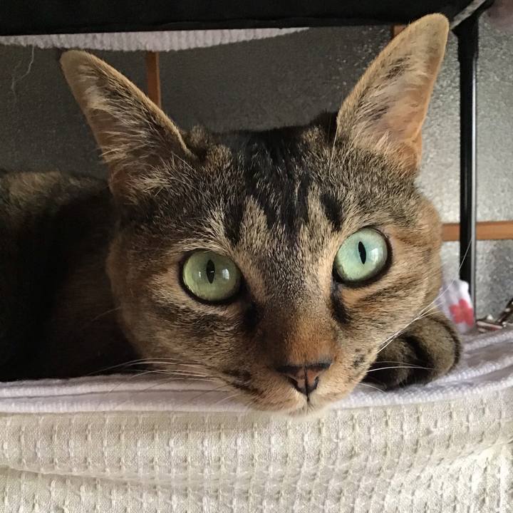 166f0e24 85dd 4109 9895 0723c23351bd 1654065518011