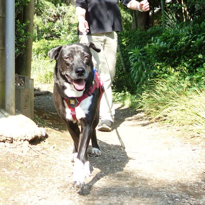 166f12f1 8847 43ac 946c d326022ca95a 1683764520603