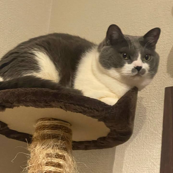 166f3358 061d 4e3d 915f dd1aa0907dc3 1740928087148