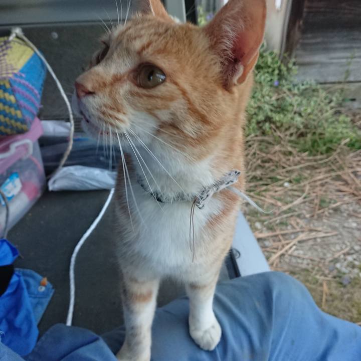 166f3415 dc75 4254 80d2 d6b1427df975 1590658703380