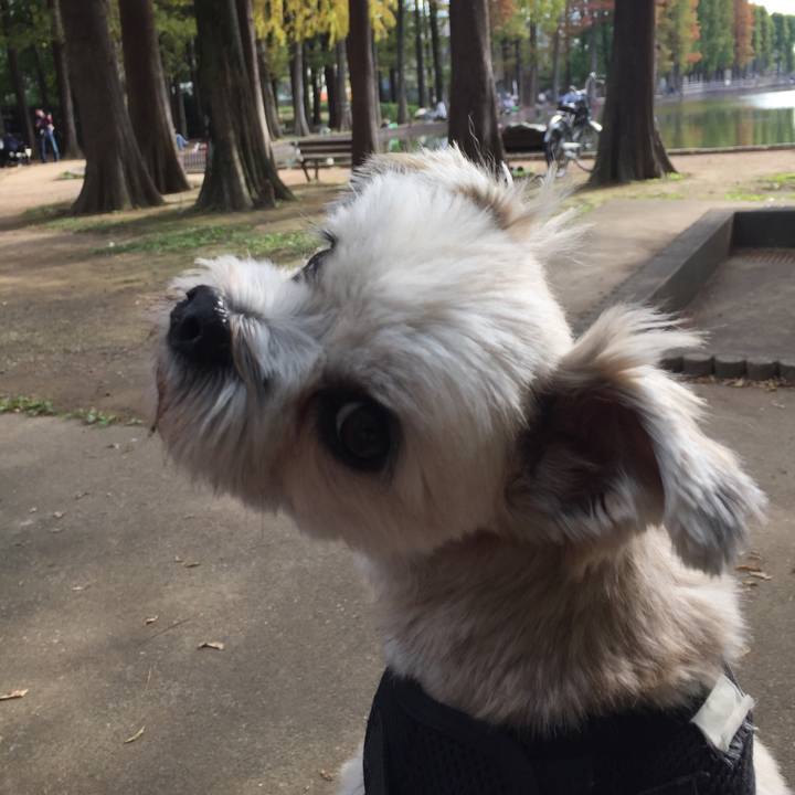 166f419c b60b 499c 9643 aa71b9d31f21 1542522700606