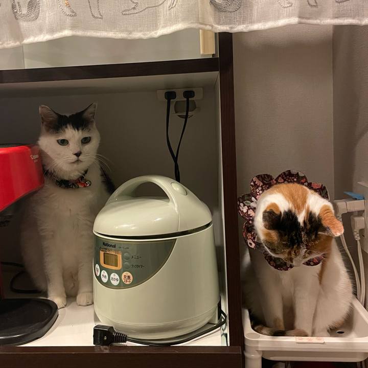 166f4f2b 90d5 4d94 ac26 de39d62dd68a 1735645219944