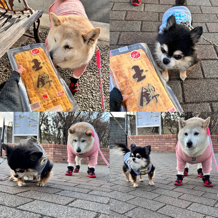 166f8c15 bbe5 455b 927d 2d367374e91e 1738831952760