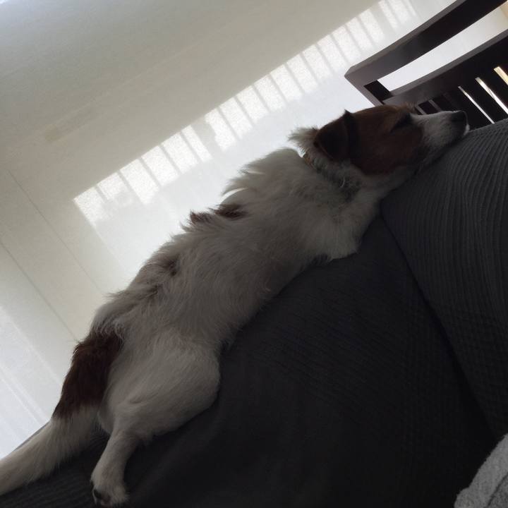 166fd041 ac8a 4b05 9fff a243faf91aa6 1588117603024