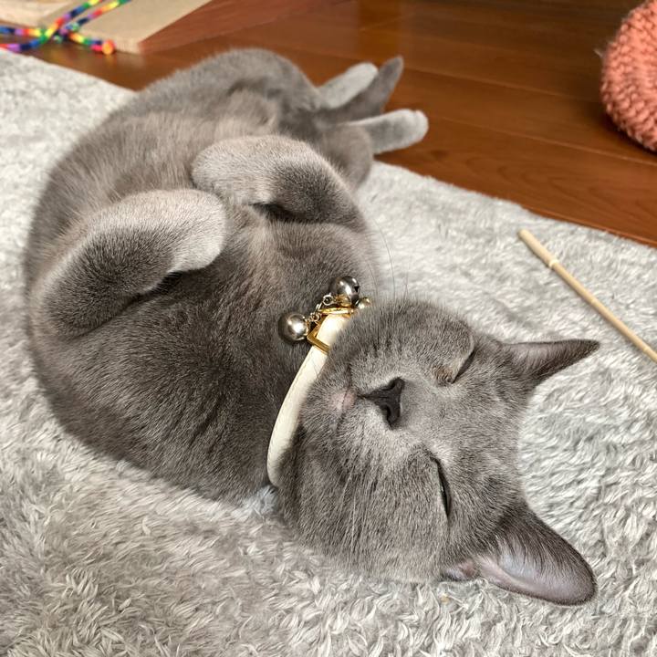 166fe351 d972 463d 92ed 2b4a87581b45 1650960674288