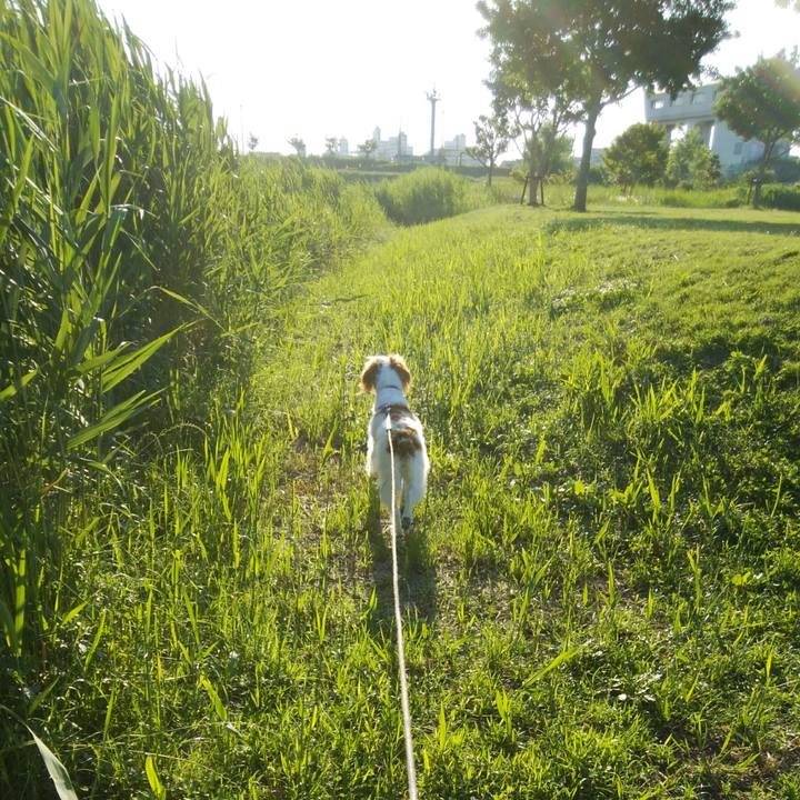 166ff231 eb51 4393 b3b2 80b8de844b34 1527940171705