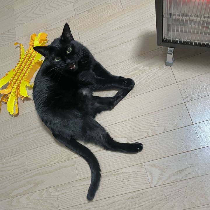 16700f79 7645 4887 99dc 1810b47818d1 1703161061954