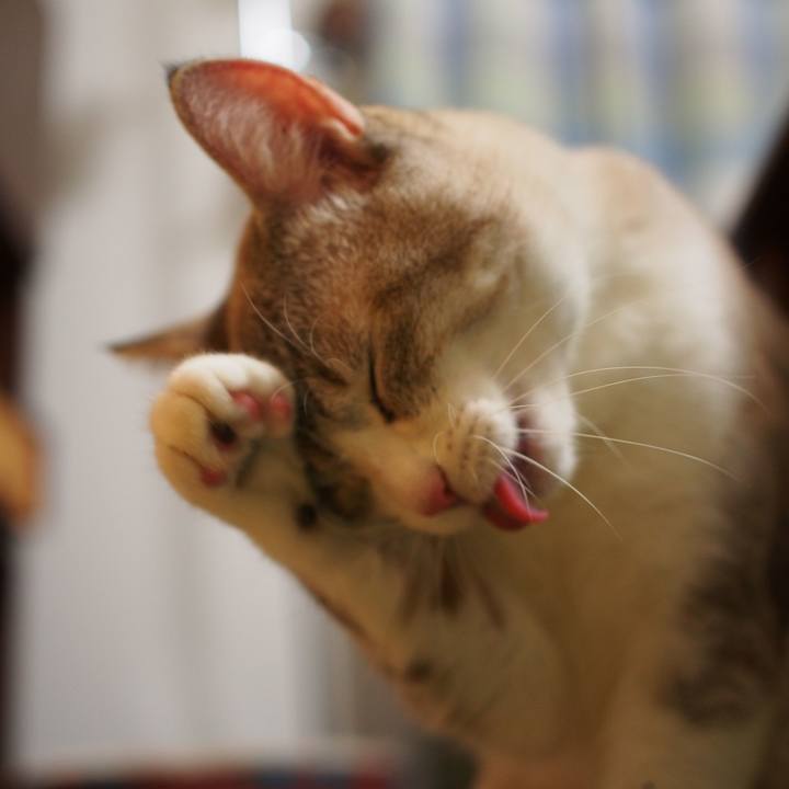 1670309a 4e54 4720 87cc 8d6f297f3a16 1550329775100