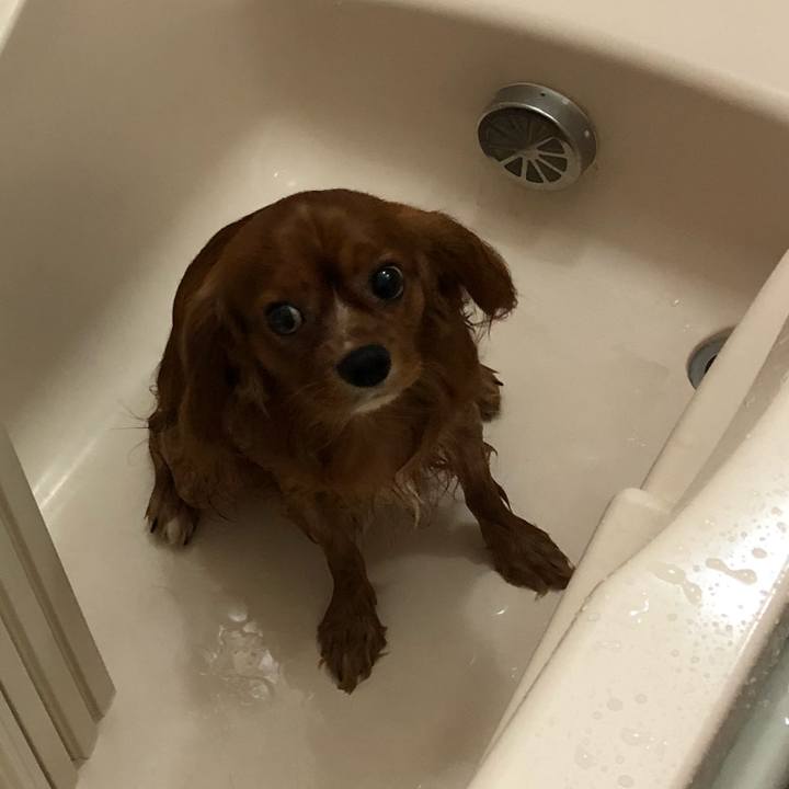 167074b7 669a 4fc6 a785 d61cdecc012c 1533679692467