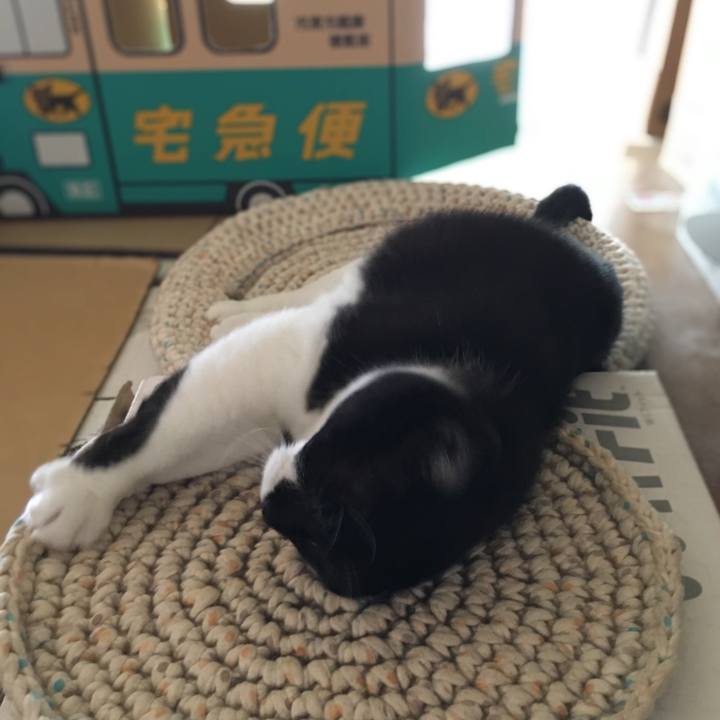 1670821a 2649 4835 ac9c d3641edef9ee 1593828672292